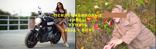 гидропоника Горняк