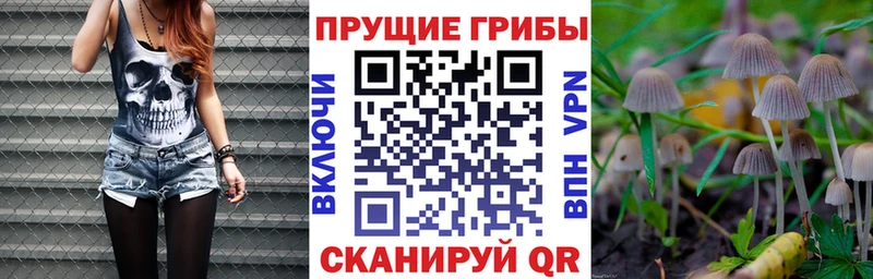 Галлюциногенные грибы Cubensis Нефтекамск